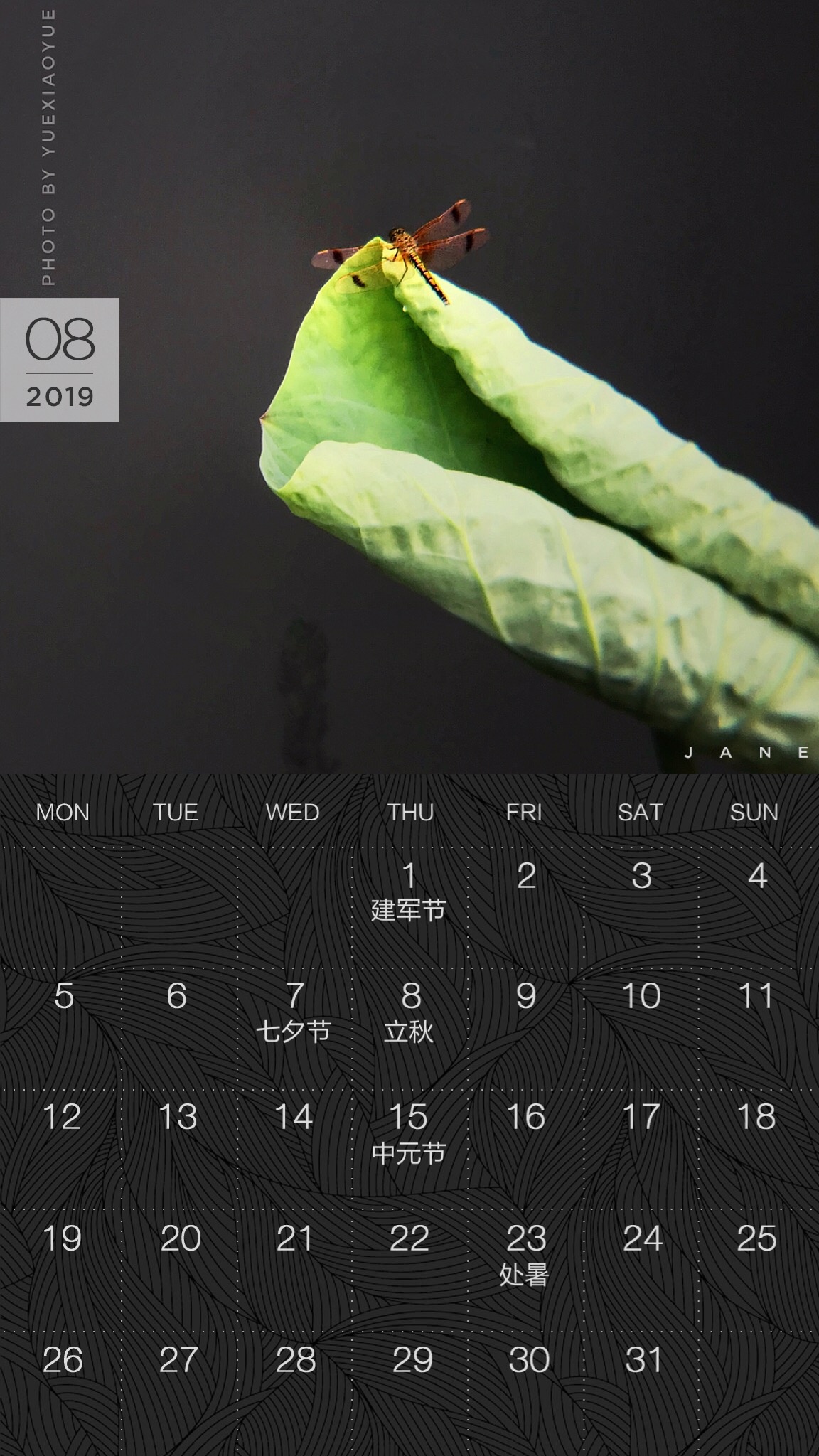 送你一张凉快动态壁纸,大暑送你清凉壁纸