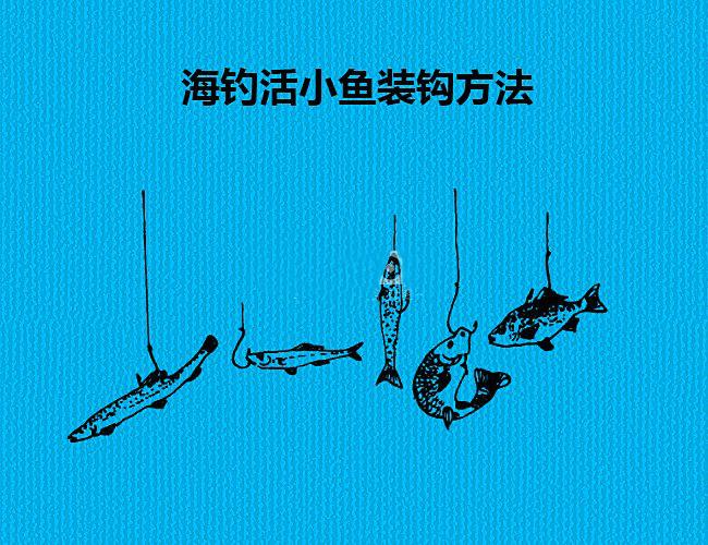 矶钓鱼饵挂钩,海钓矶钓用什么鱼饵视频