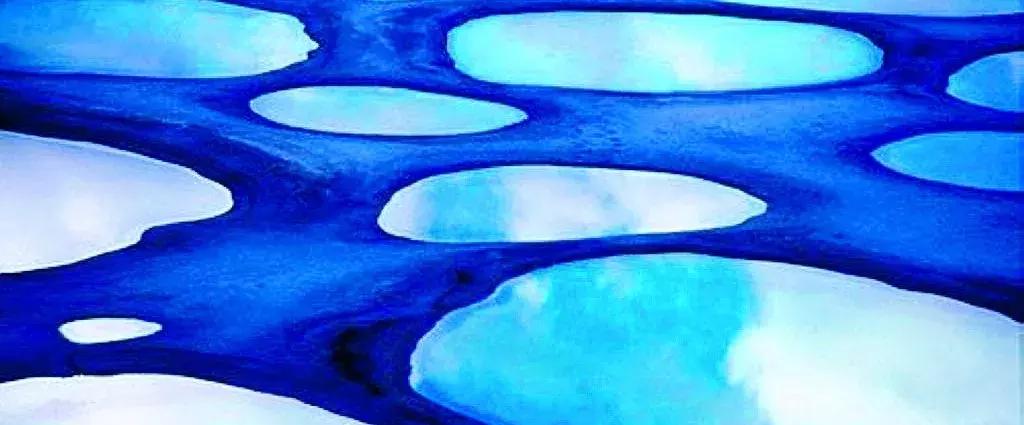 听说过斑马、斑点狗,你听说过斑点湖吗?