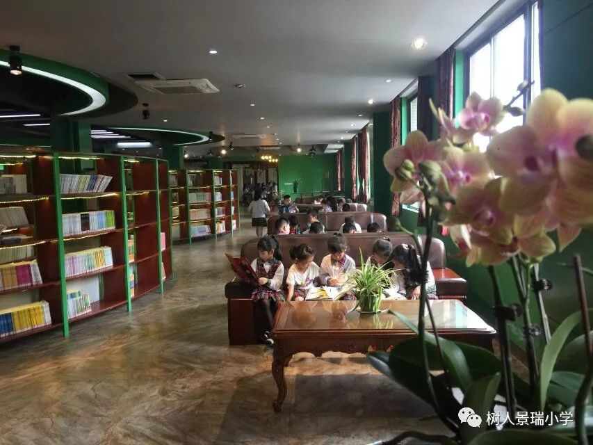 为什么提到树人小学,树人小学为什么好