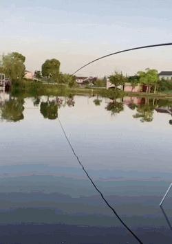 老婆在网上买了件衣服,老婆买了条裙子