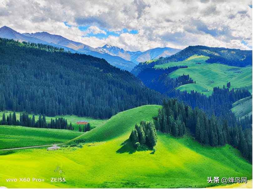 2020年100个手机摄影作品,摄影大赛2024手机摄影