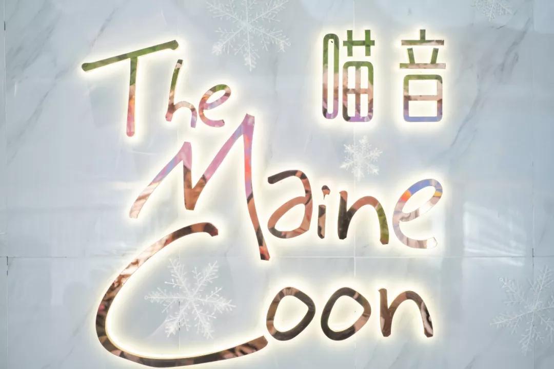 8元/锅!开在W酒店旁边的「泰国皇室料理」,“圣诞锅”涮海鲜