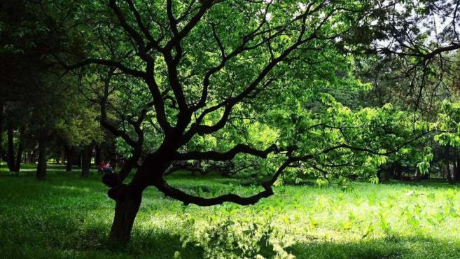 志愿填报季,你必须要知道的“宝藏”大学——西北农林科技大学