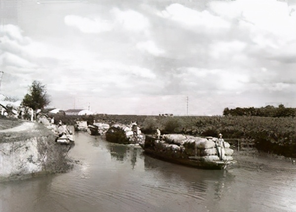 浜旈緳娼姳搴楄,椴佸畨娴庡崡蹇嗘棫