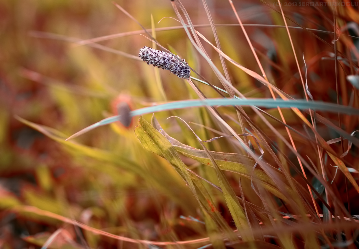 面对自作多情的人,面对多情的男人