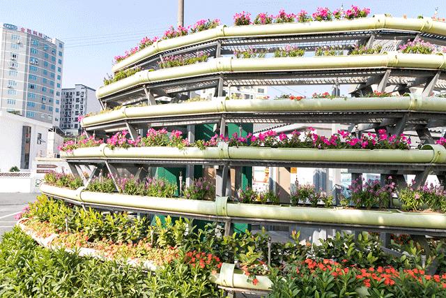 深圳最适合亲子游的好去处,深圳周末家庭游玩好去处