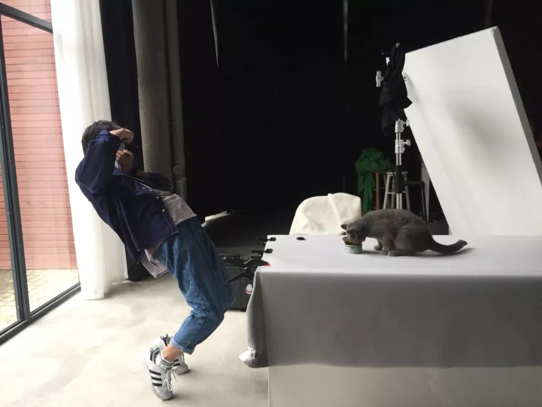 怎样学习摄影拍照技术,学习拍照技术技巧