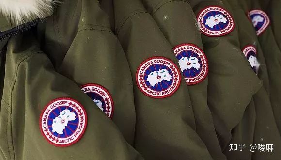 加拿大鹅法律,加拿大鹅意义