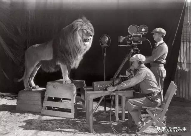 霍金年轻时帅气的照片,霍金年轻时帅照