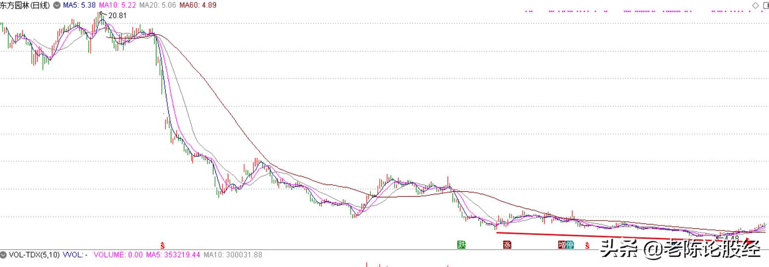 曾经的园林第一股，龙头企业，如今却几乎销声匿迹
