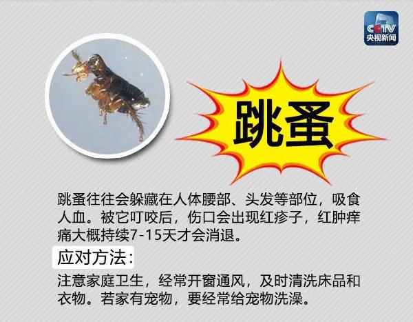 常年在垃圾桶旁边的蛇,垃圾桶里面有一条大蟒蛇