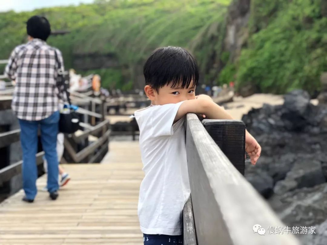 这个南国海岛高铁直达，海鲜超级便宜大人不累、孩子很开心