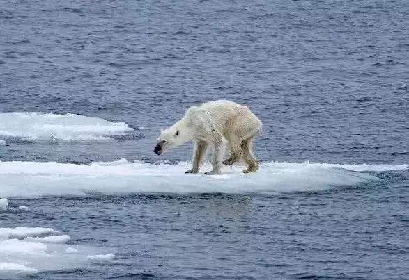 地球5年后的大灾难,地球病了会好起来吗