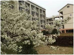 新生入校攻略|住在江南，让生活更精彩!