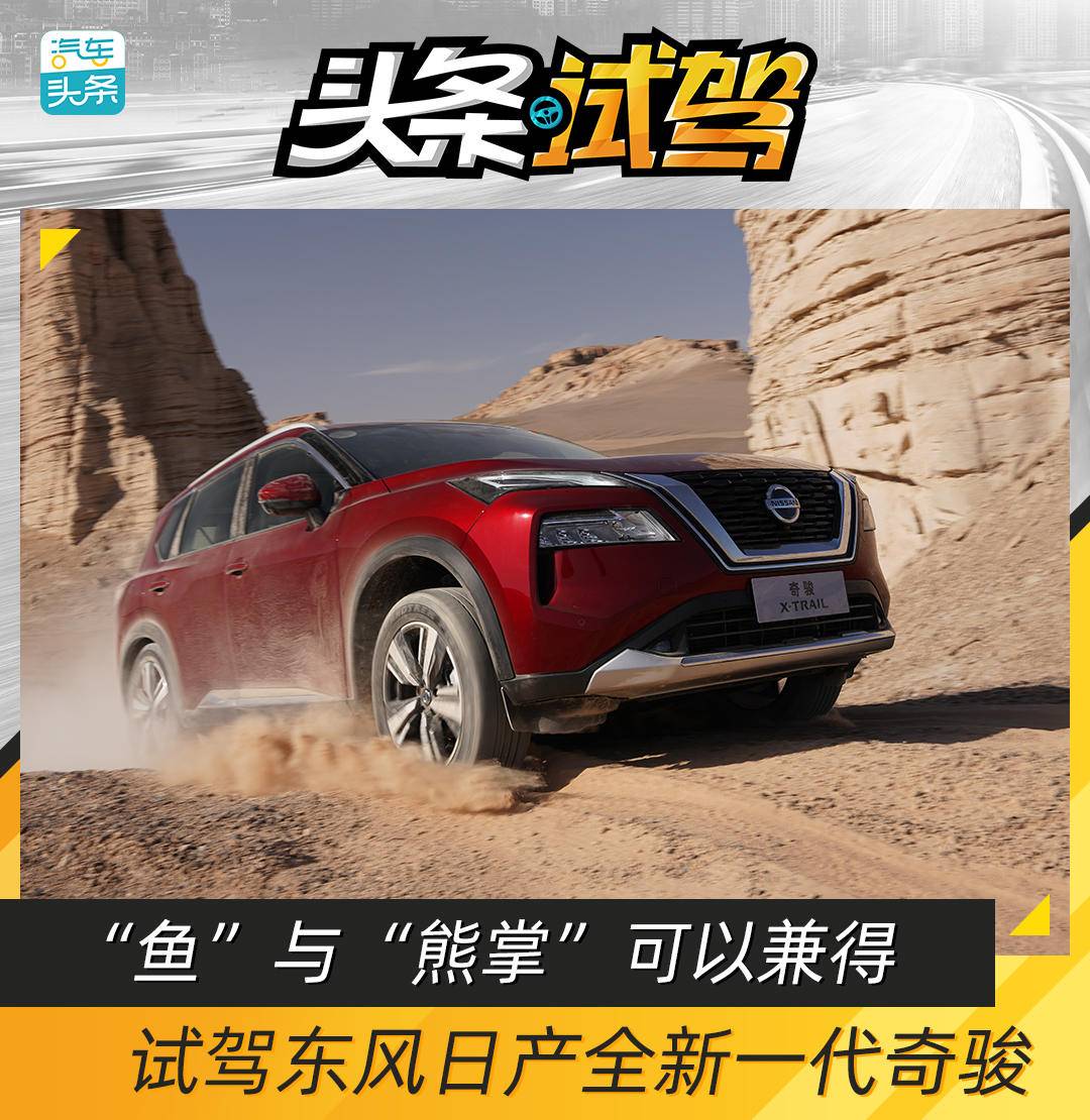 鱼和熊掌可兼得原文,鱼和熊掌也可兼得2016