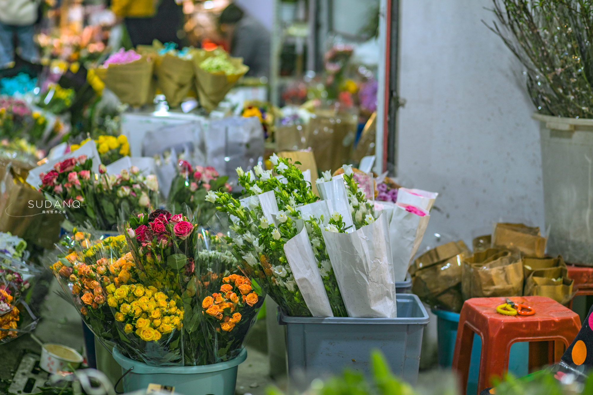 武汉铁机路花市,武汉解放公园花市