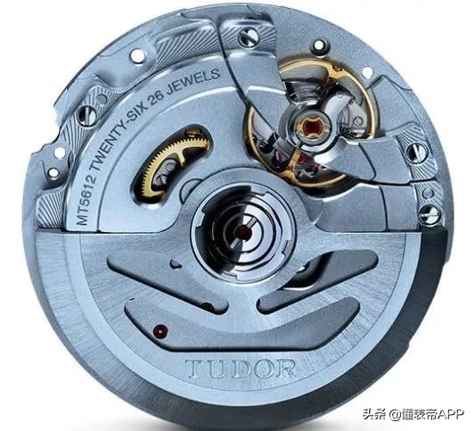 品牌历史丨玫瑰传奇——帝陀