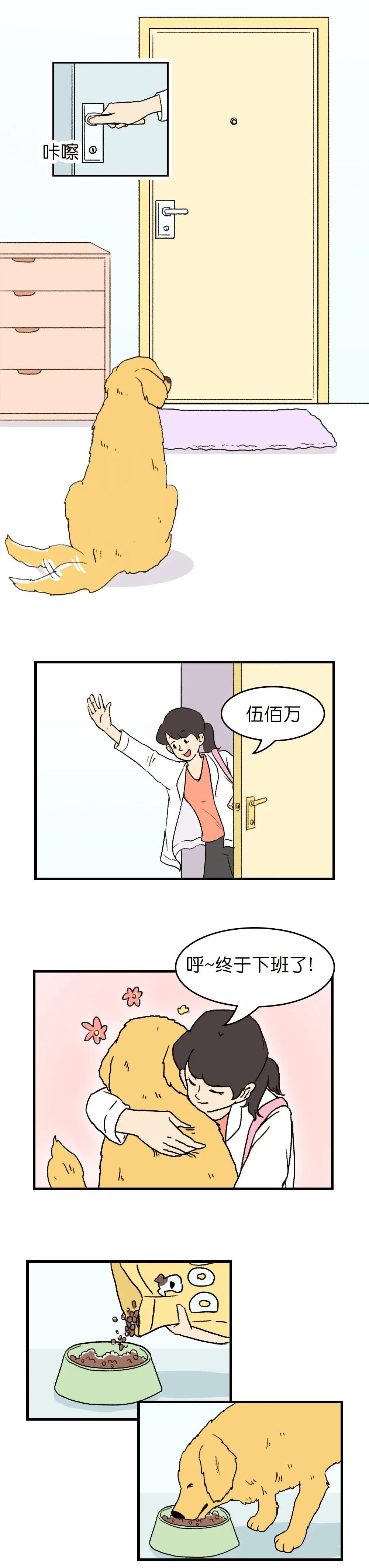 狗子在家来回踱步是什么原因,狗子为什么会很喜欢躲床底下睡觉