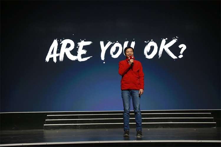 国内十大假产品品牌排名,苹果小米手机上榜