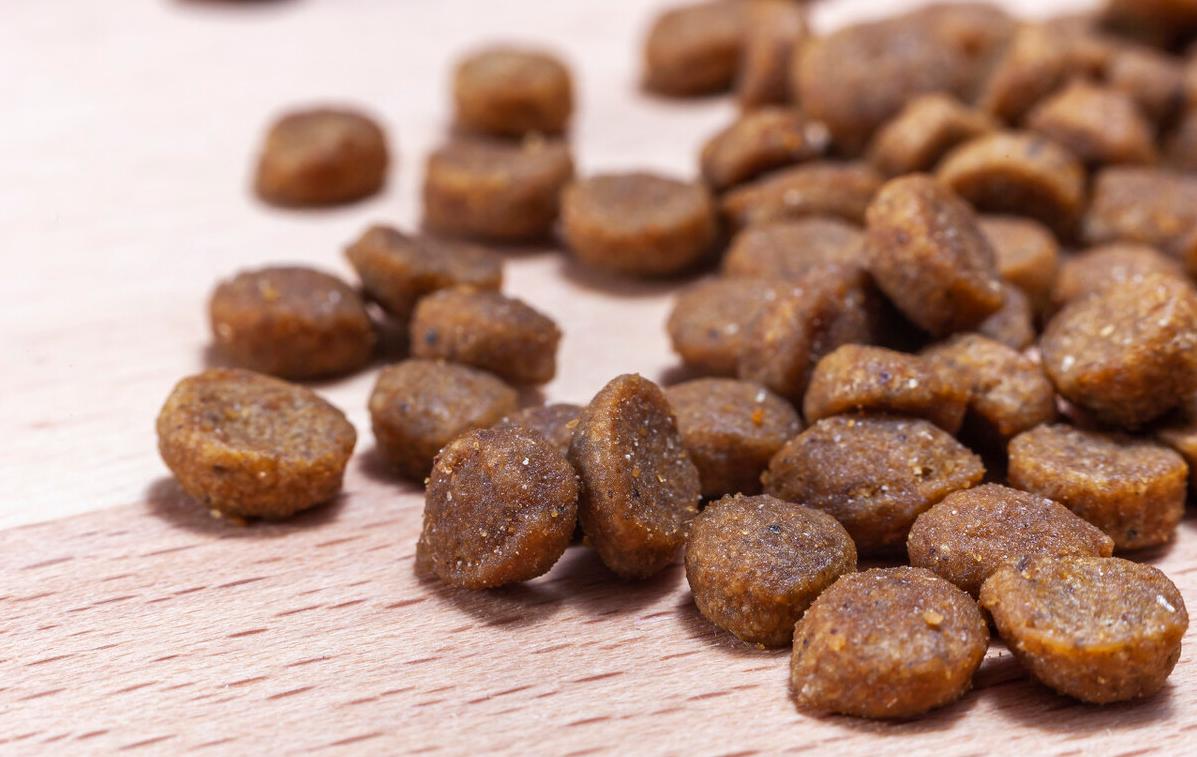 狗粮颜色可以判断狗粮好坏吗,用水泡狗粮分辨狗粮好坏