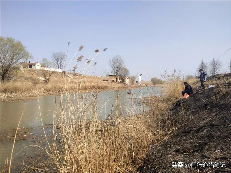 迎着倔强的西南风，抓耳挠腮与网工抢鱼，哪里说理儿去