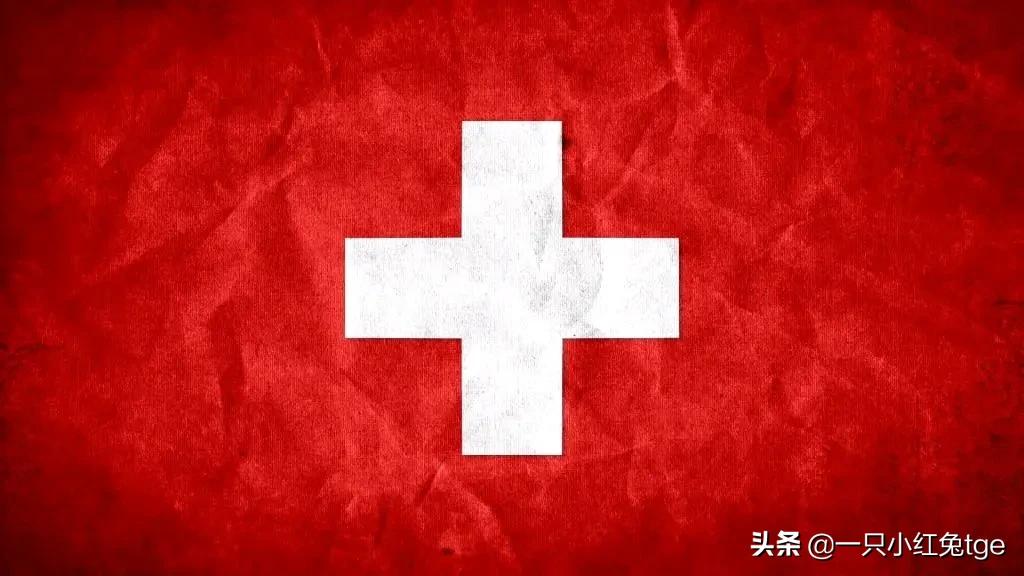 那些年给兔子整装备的西方国家「4」:瑞士