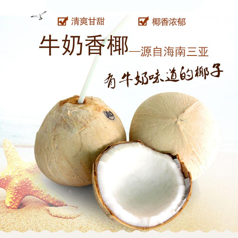 海南有啥值得买的特产,海南特产去哪里买