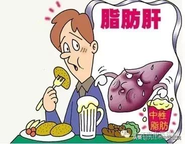 脂肪肝健康科普消化内科,中医可以治疗乙肝脂肪肝吗