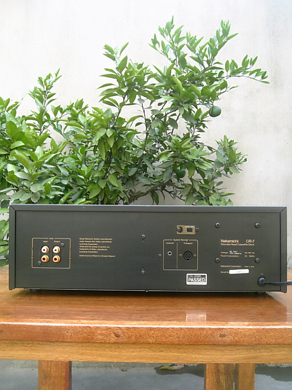 鏀堕泦鎰熷叴瓒ｇ殑涓滆タ,鎼滈泦鎰熷叴瓒ｇ殑浜嬬墿