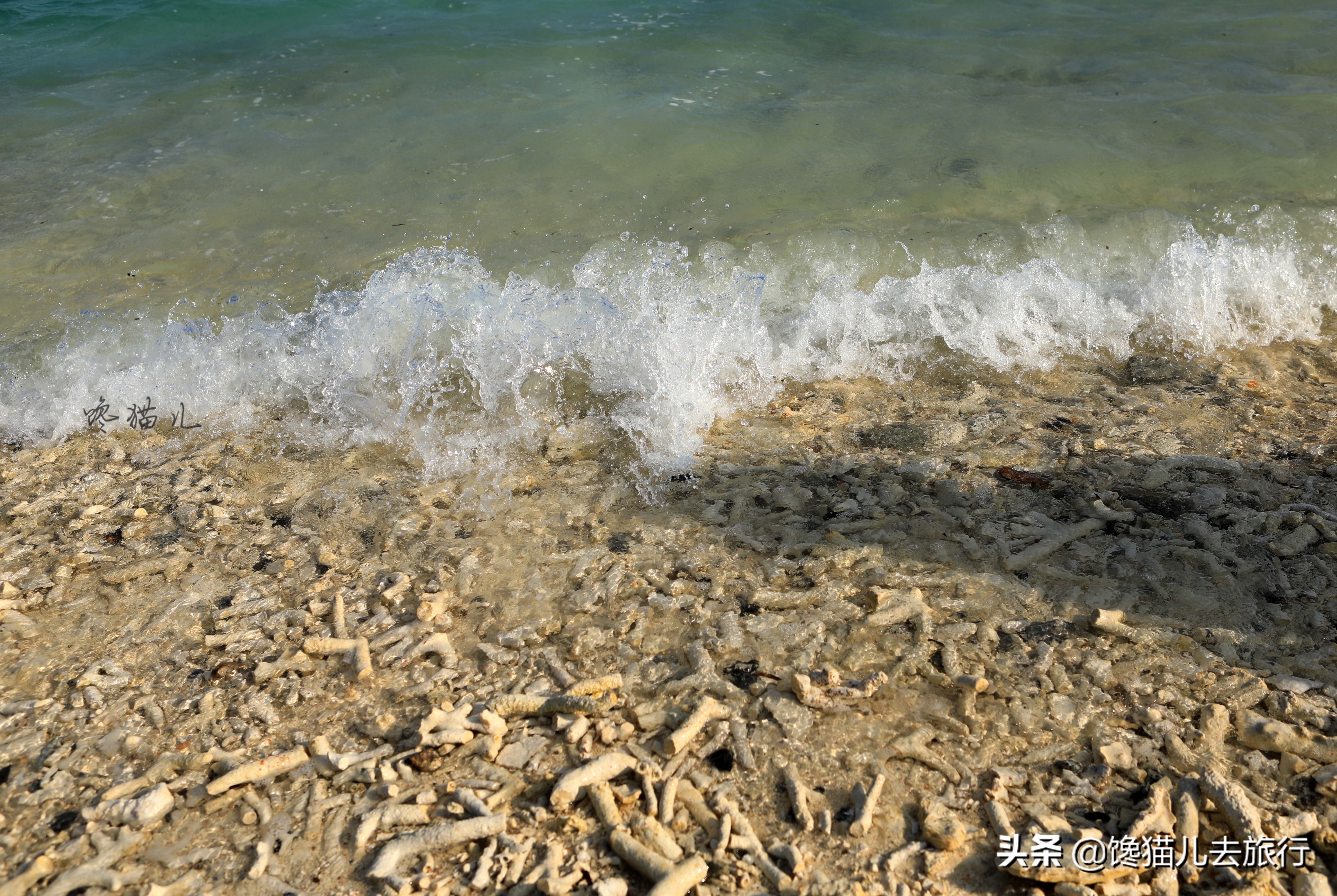 越南侵占西沙群岛的岛屿有哪些,西沙群岛中国公民才能去的海岛