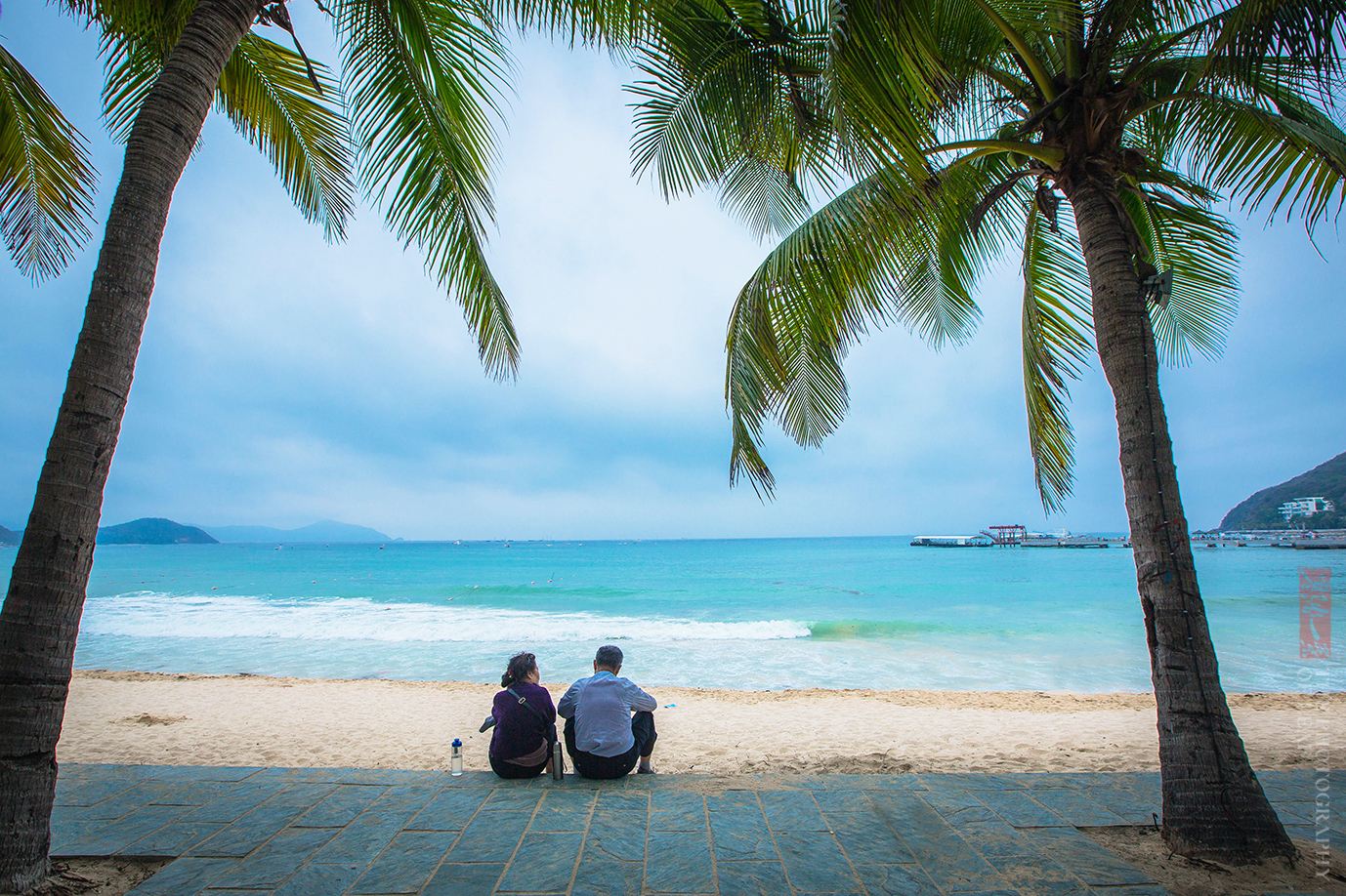 去海南猫冬,去海南猫冬的视频