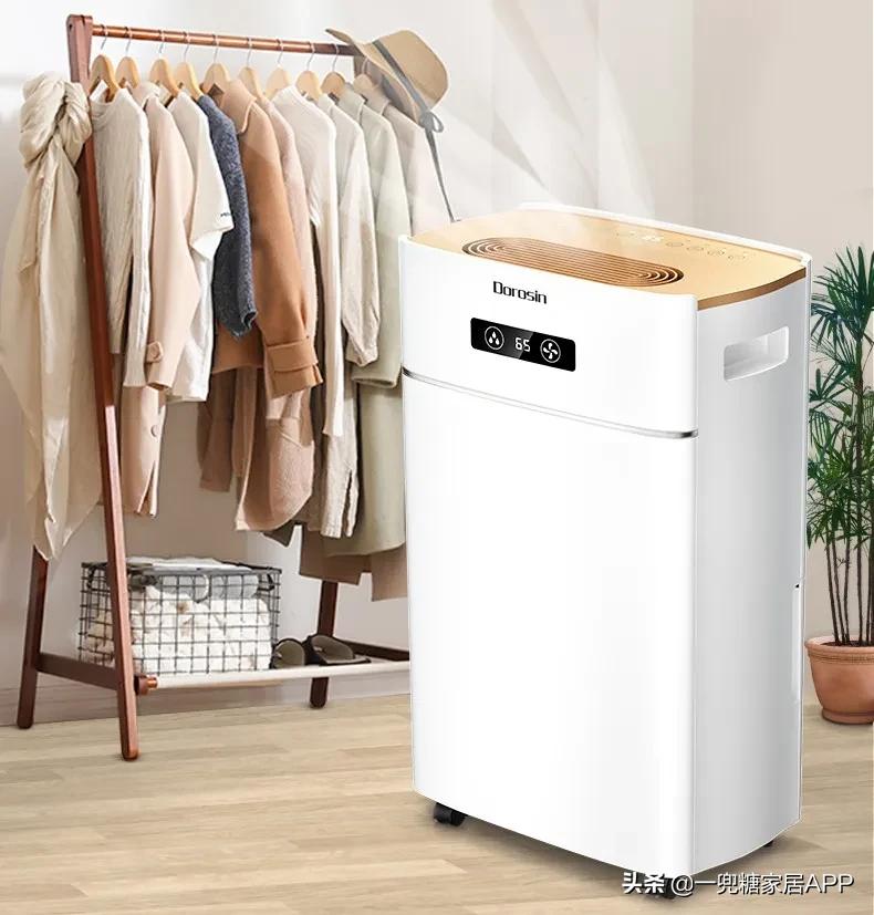 躲避回南天如何装修,南方回南天用什么除湿机