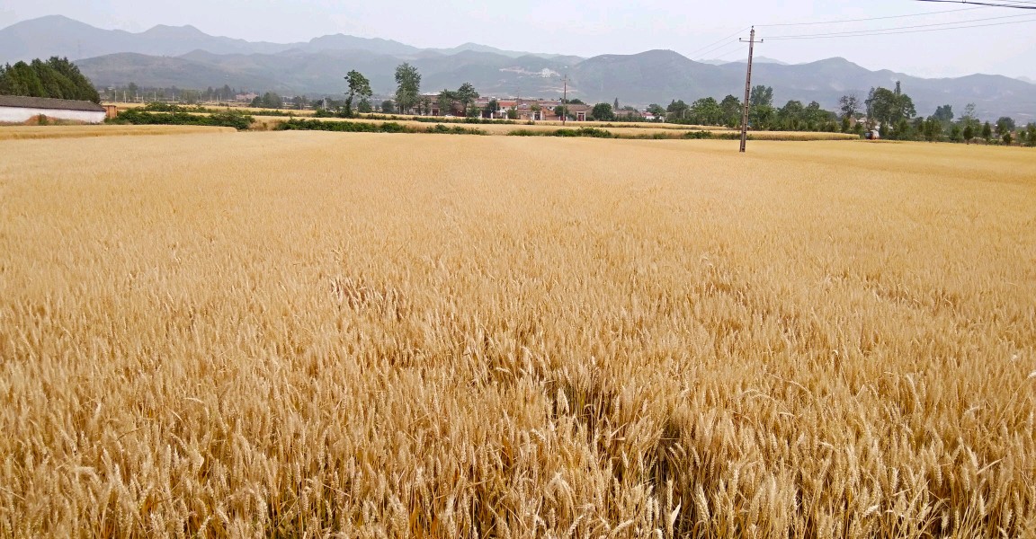 咸阳纳凉避暑好去处免费,西安咸阳避暑纳凉好去处