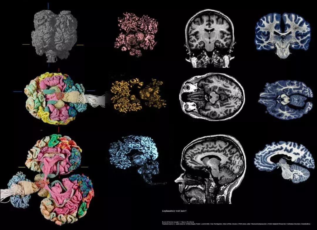 这歌曲编的太有才了,爷爷说孙子太能编了
