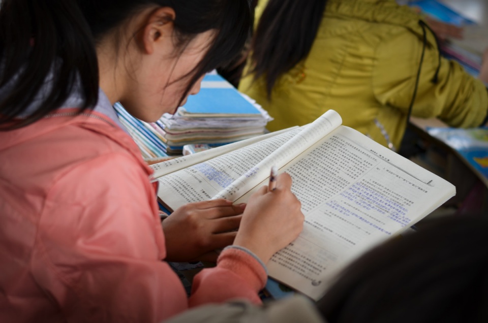 孩子总爱抄别人作业怎么办,孩子老是抄作业要找家教看着吗