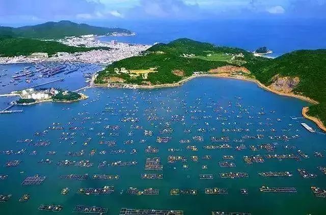 世界十大最美海岛,广东十大最美海岛排名