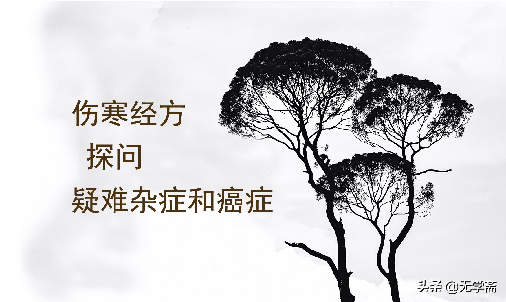 伤寒论治疗现代疑难杂症,伤寒杂病论第148条医案