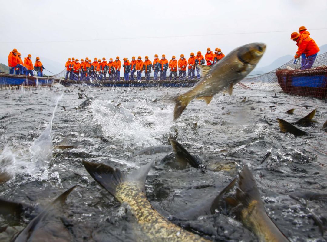 浙江人第一印象,浙江人的特色