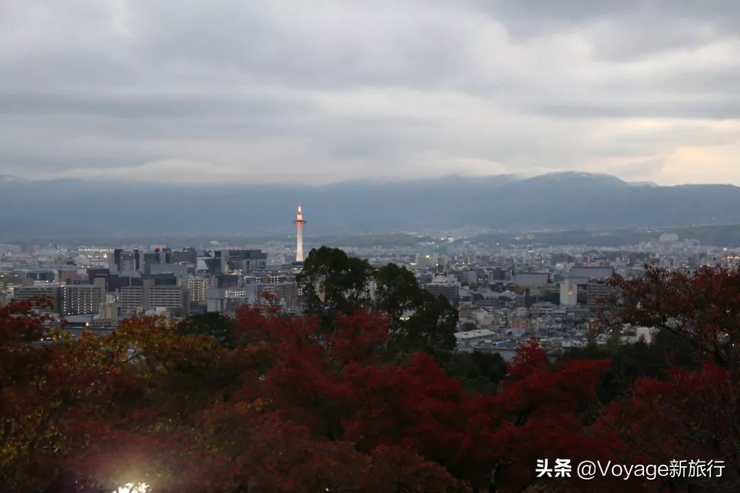 秋天来京都，体验「限定红」的“枫”情万种