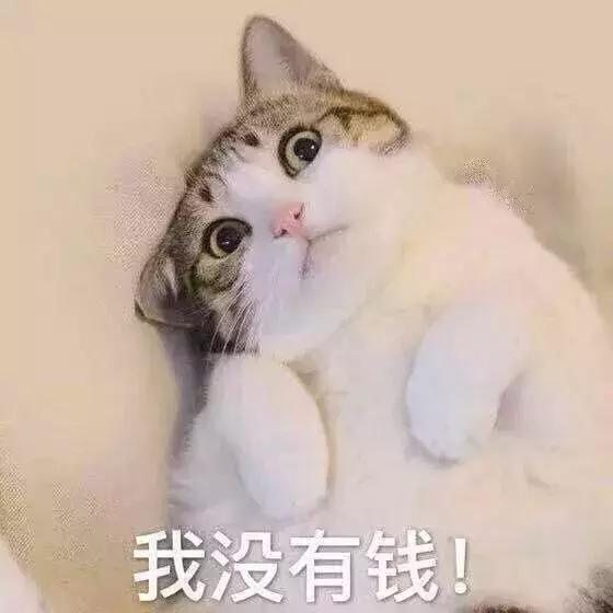 1元秒杀福利金,1元福利秒杀产品