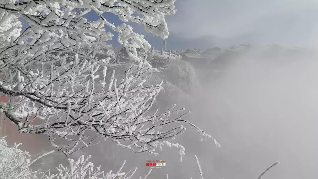 此刻泰山成了雪国，美到无言！高清美图来袭，“雪国的列车”即刻发车！