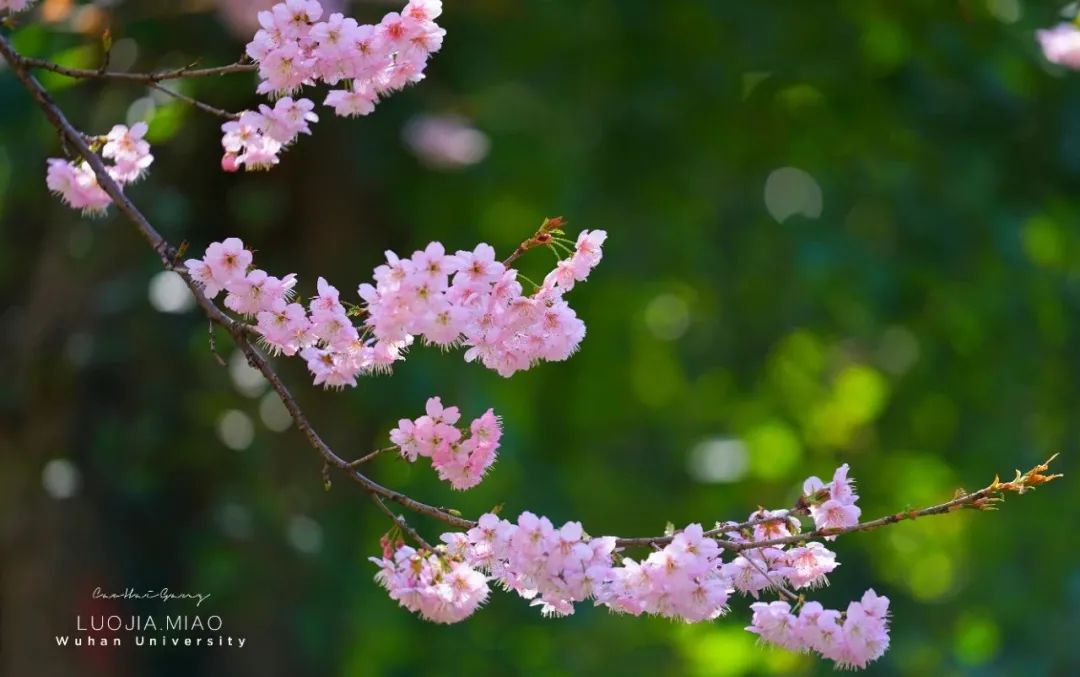 婆媳很久以前的矛盾怎么化解,婆媳起了争执媳妇从此不再理睬