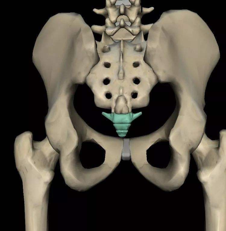 徐姑姑骨折完整版,徐姑姑骨折在第几集