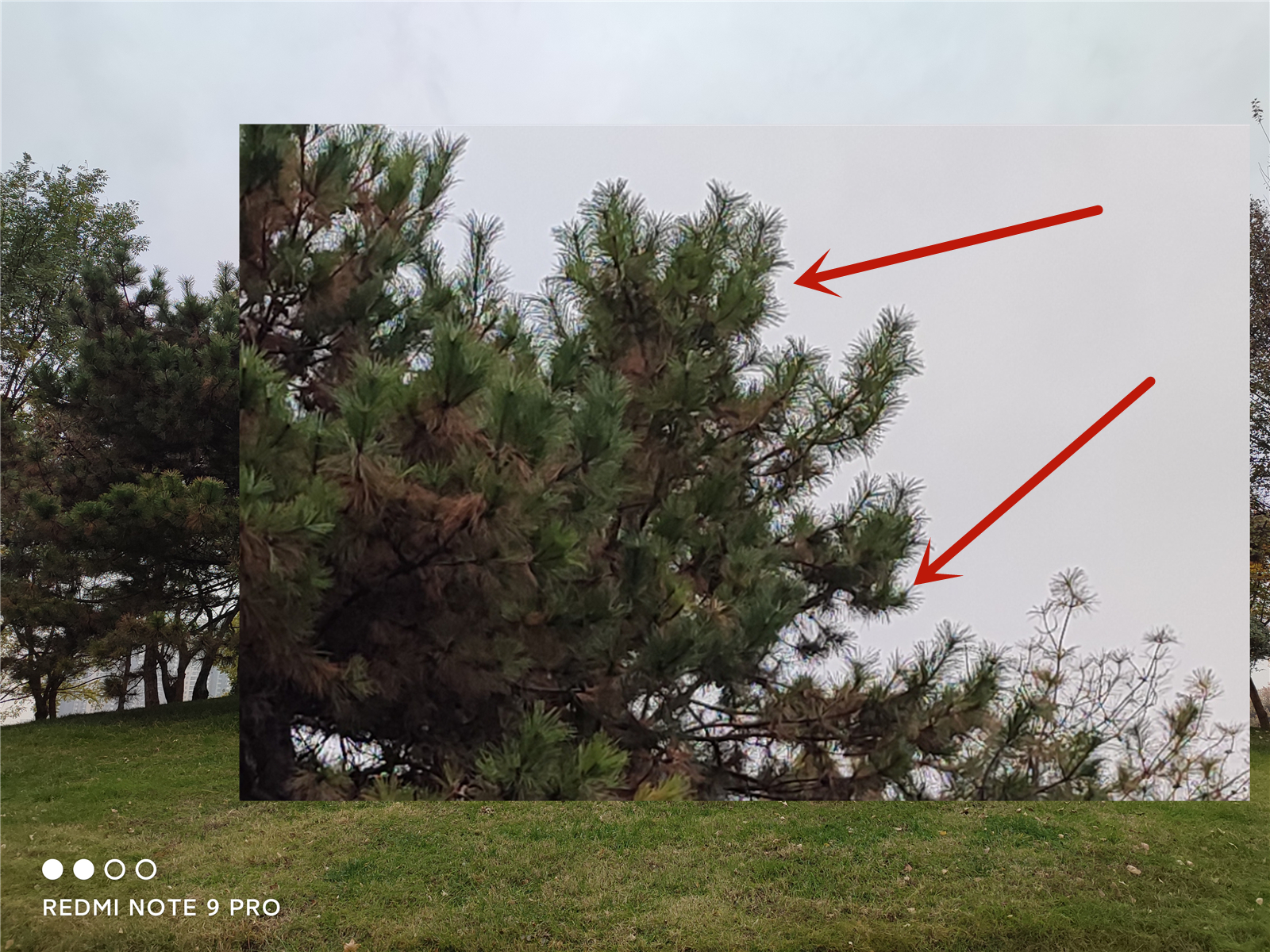 redminote9娣卞害娴嬭瘎,redminote9鎺ㄨ崘