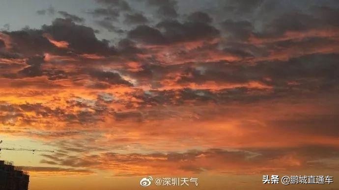 昨天深圳晚霞喜提热搜！美爆了，一大波晚霞图片来袭