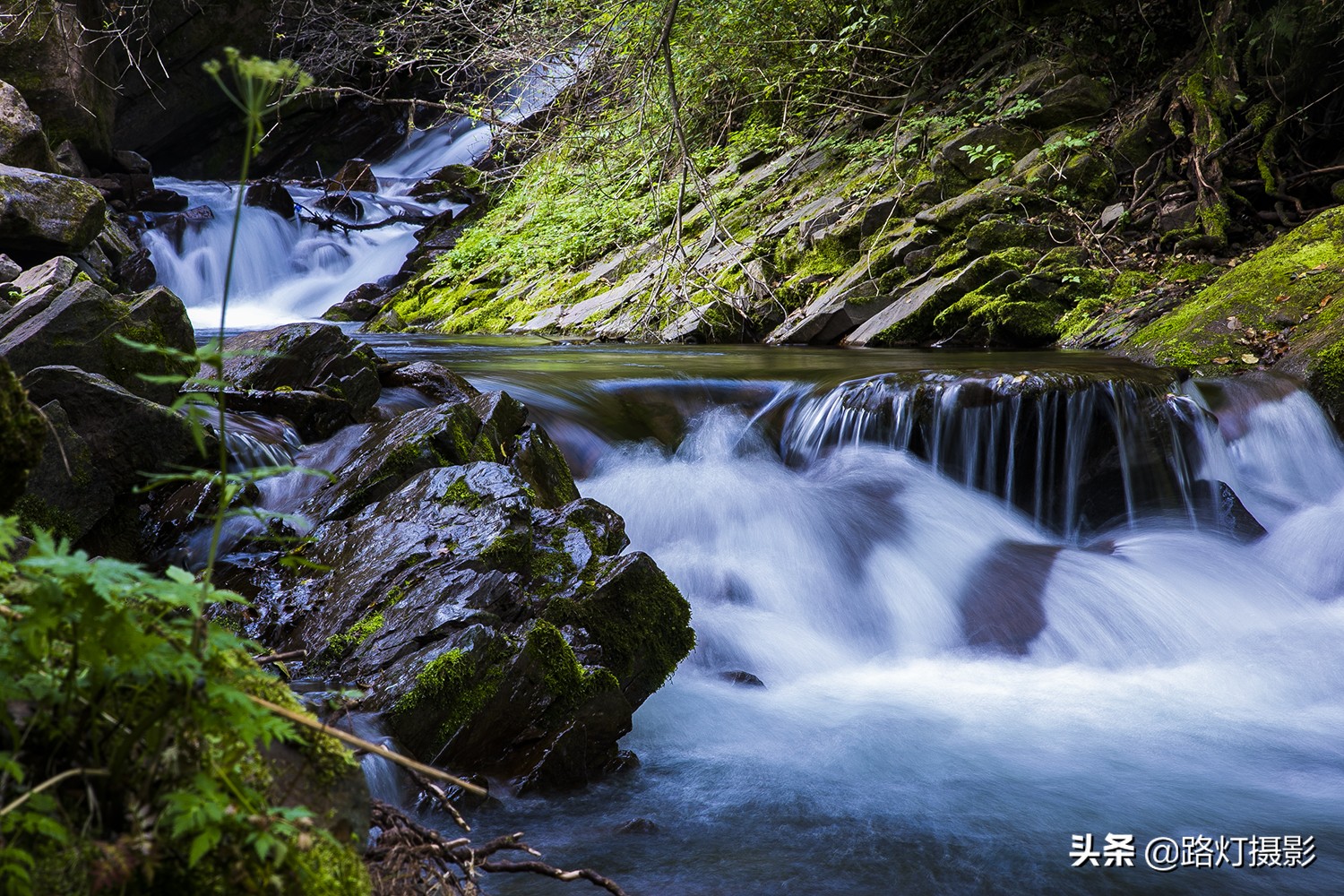 初夏要有十分美，宁夏固原占九分，你同意吗？
