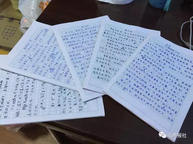 三年级想象作文老鼠乘纸飞机,纸飞机的作文三年级