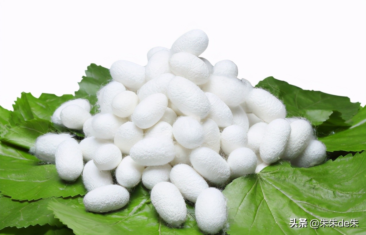 服装面料知识大全优缺点详细介绍,服装人必须懂的50种面料知识