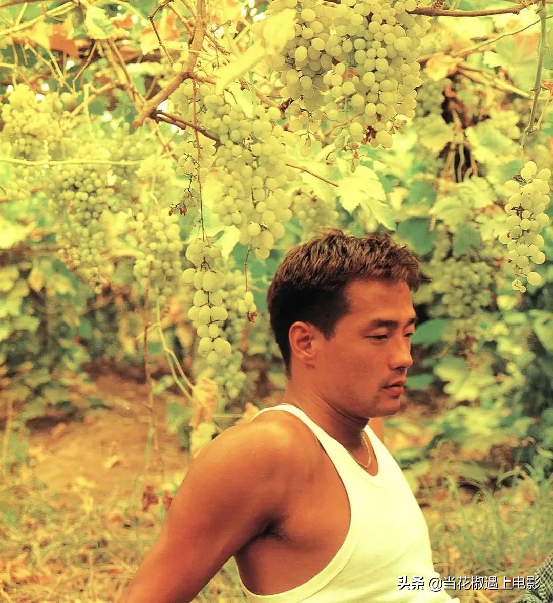 他自甘堕落演抹黑香港警察，“惯犯”王喜的劣迹何止这一桩